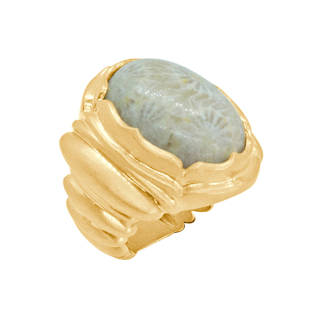Nassarius Ring