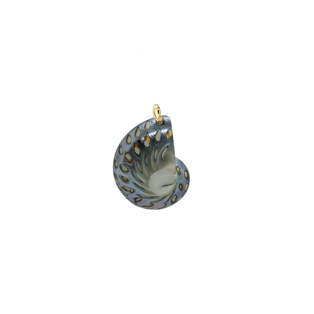 Nautilus Necklace - Limited ED