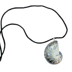 Nautilus Necklace - Limited ED