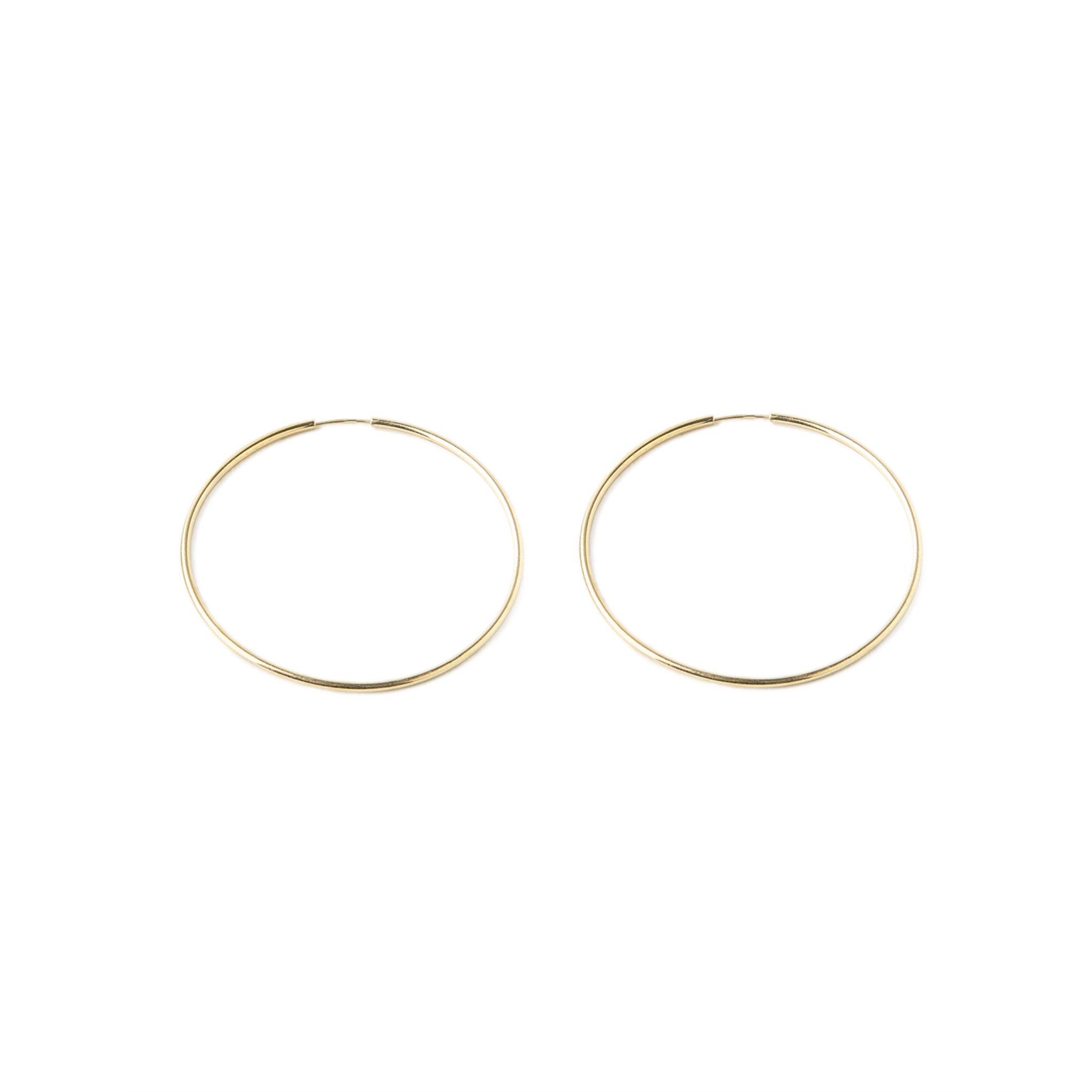 Leo Hoops