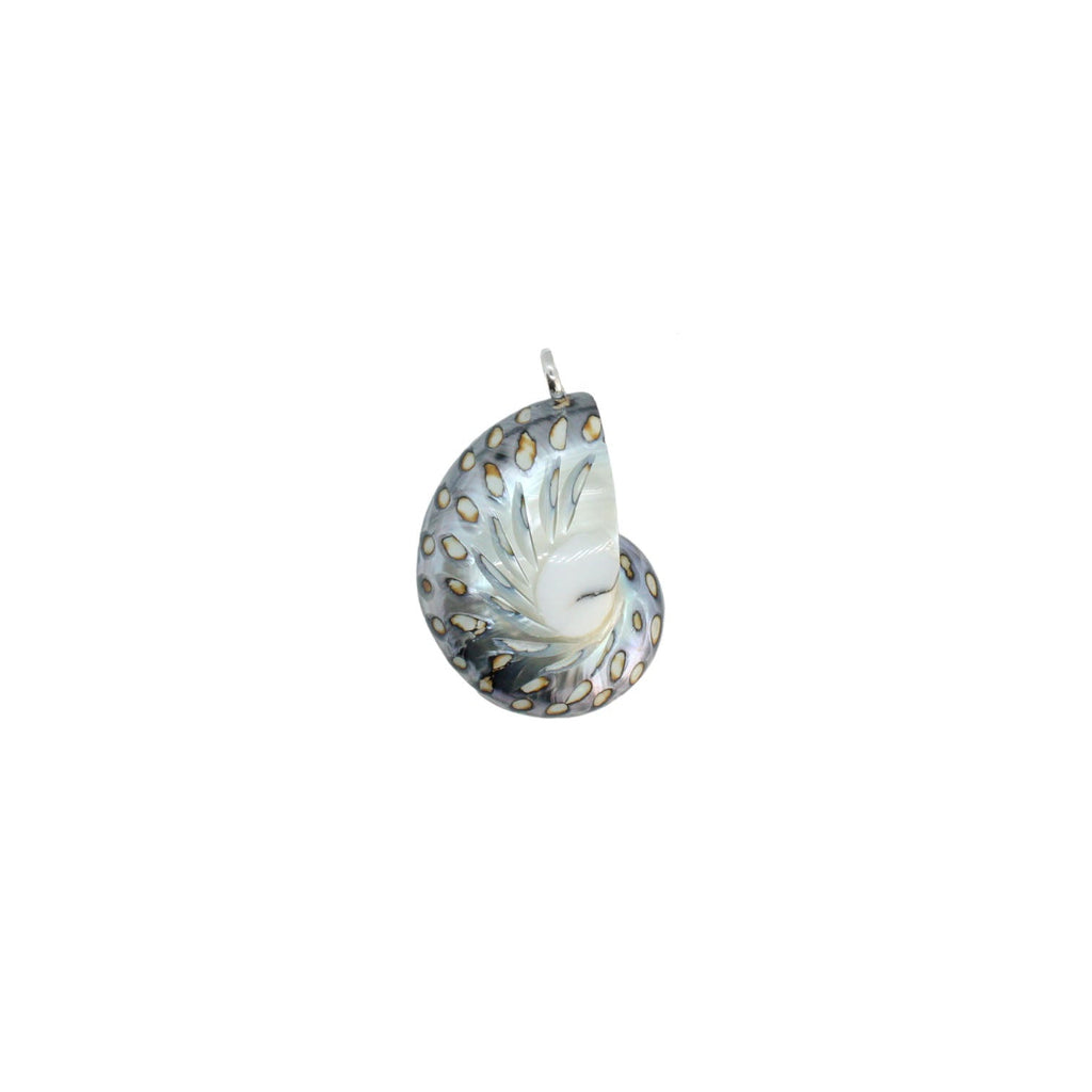 Nautilus Necklace - Limited ED